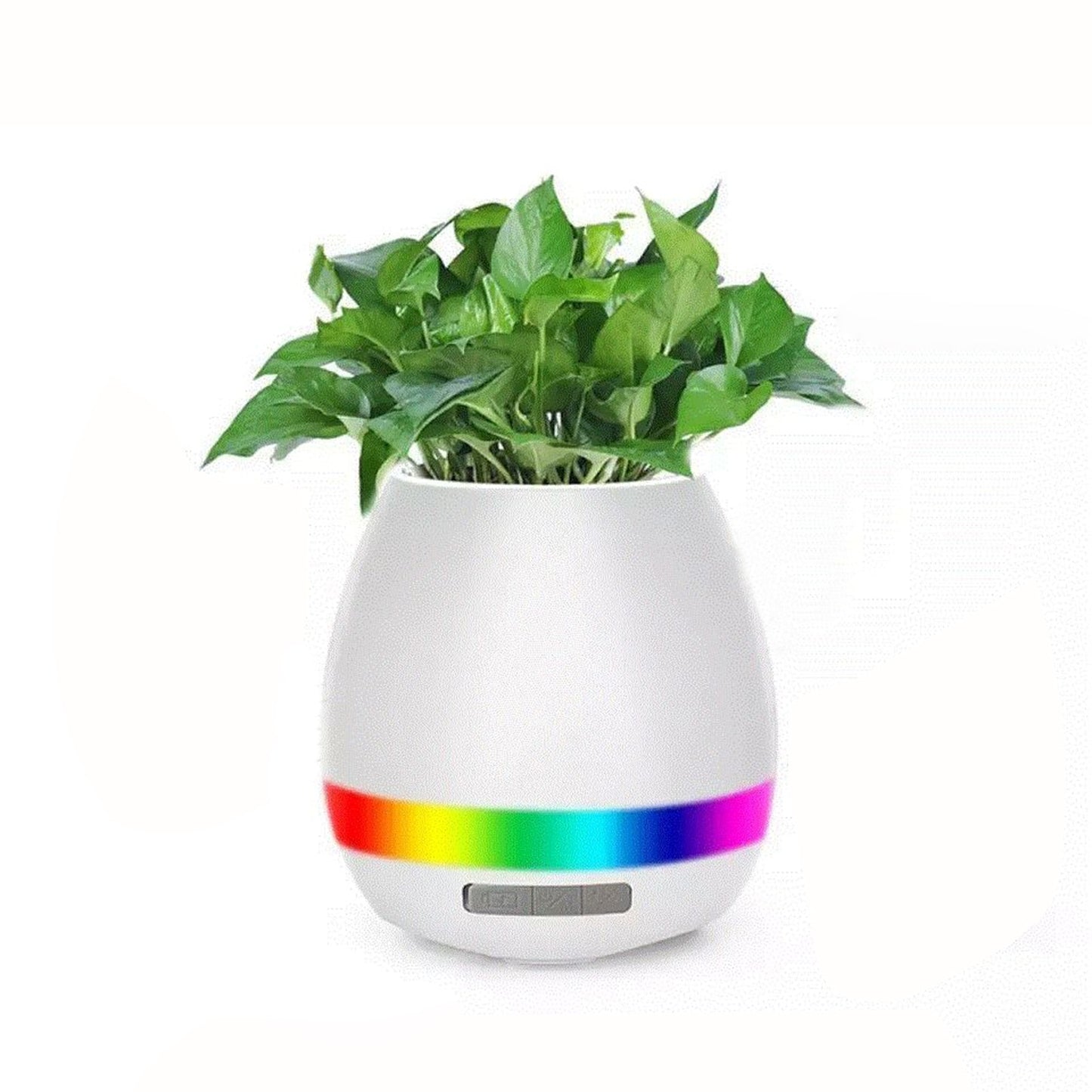 Smart Music Flower Pot