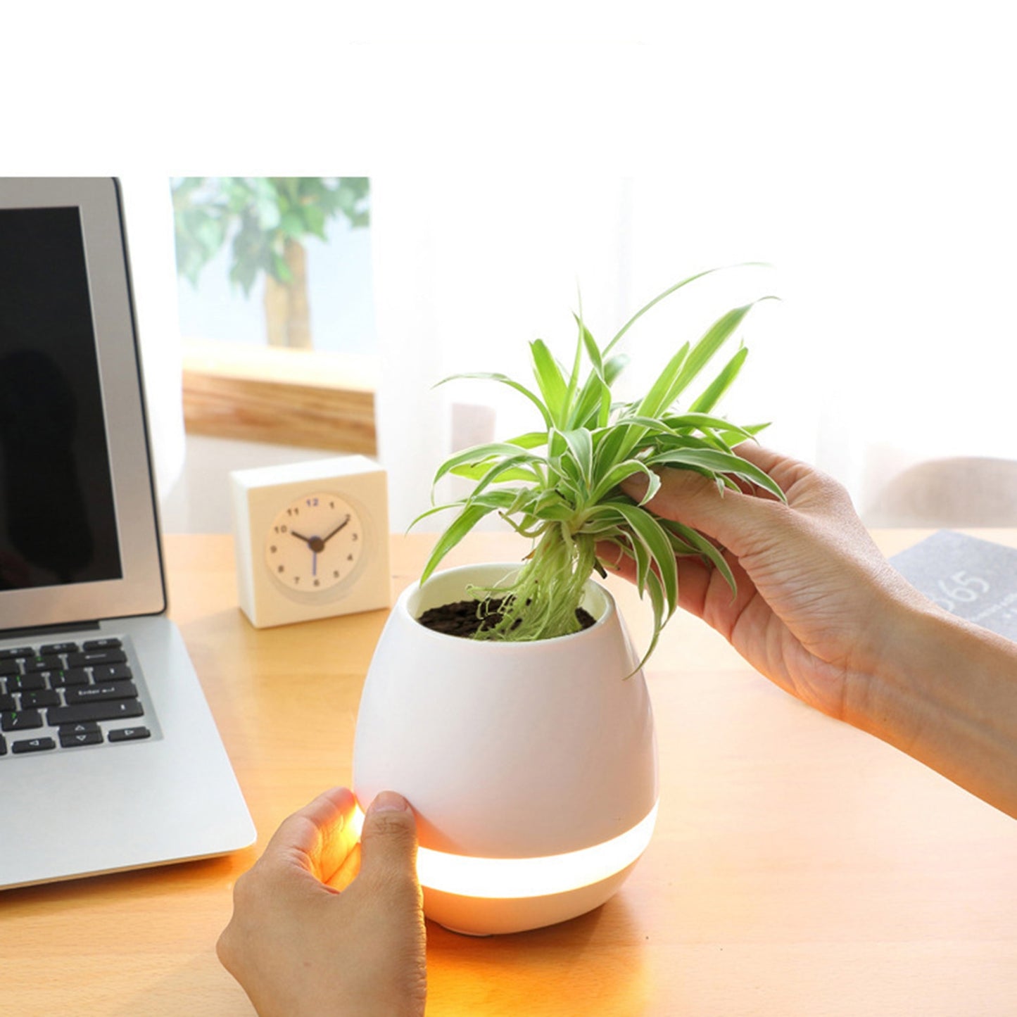 Smart Music Flower Pot