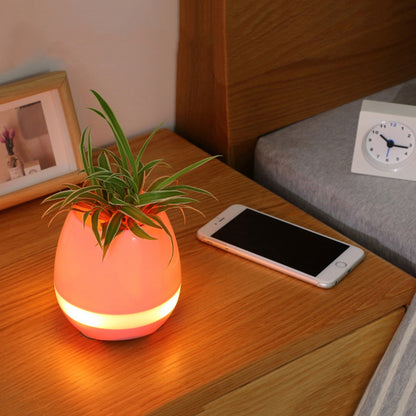 Smart Music Flower Pot